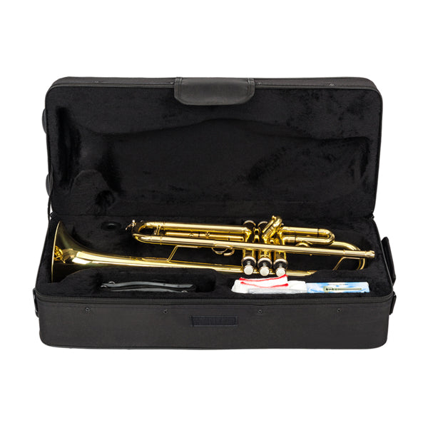 Drop B Tone Adjustable Trumpet Gloves Set Plaint Golden - Zalixer