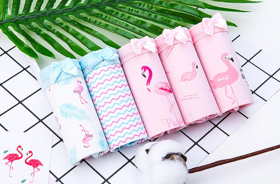 Cartoon cotton underwear - Zalixer