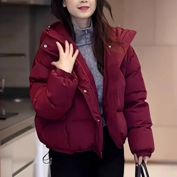 Winter Korean-style Cropped Hooded Cotton Jacket - Zalixer
