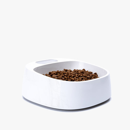 Pet weighing dog food bowl