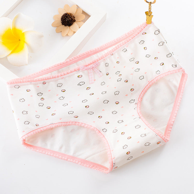 Mid-Waist Briefs Cotton Women's Panties - Zalixer
