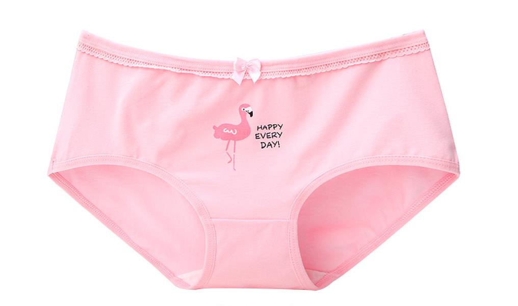 Cartoon cotton underwear - Zalixer
