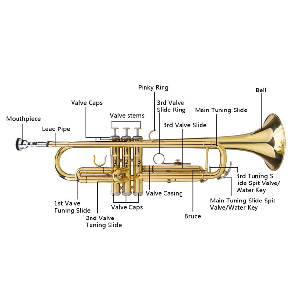 Drop B Tone Adjustable Trumpet Gloves Set Plaint Golden - Zalixer