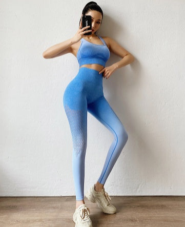 Gradient Seamless Yoga Pants Womens Running Sports Tights - Zalixer