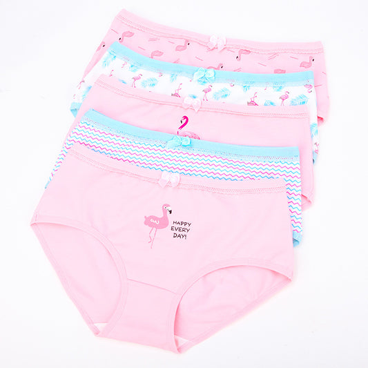 Cartoon cotton underwear - Zalixer
