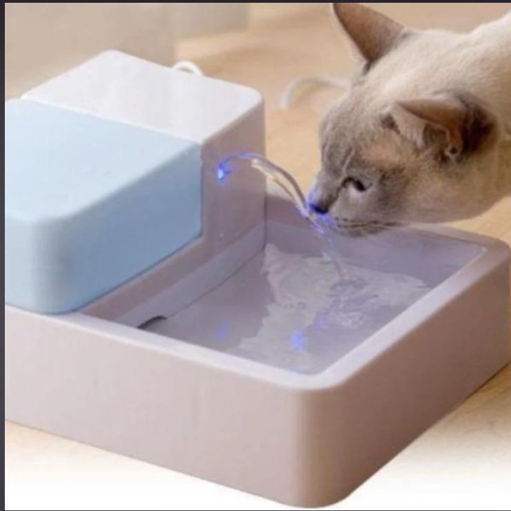 Filter Circulating Dog Drinking Water Feeder