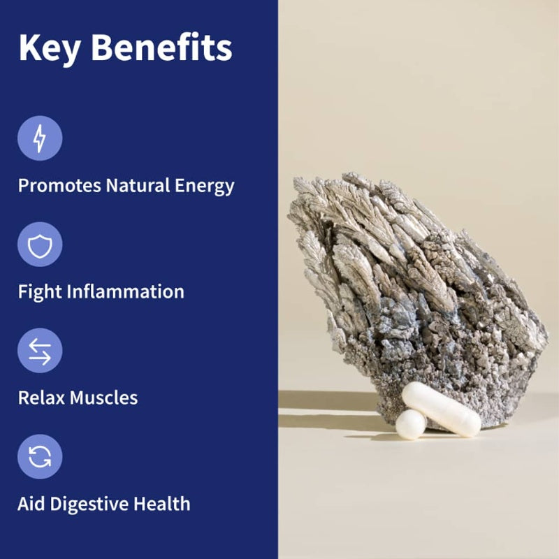 BSYS Magnesium Supplements Sleep & Anxiety Relief Aid Muscle Relaxation Support Heart Health & Blood Sugar Balance Formula Cognitive Function Enhancement Nighttime Wellness Supplement