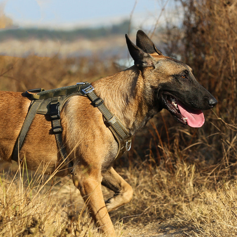 Dog Traction Rope Chest Strap