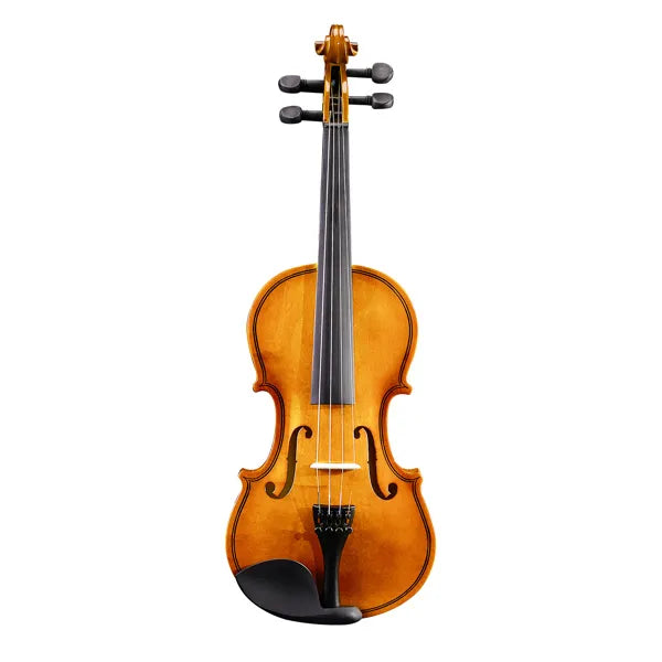 New 3/4 Acoustic Violin With Hard Case,Violin Bow,Shoulder Rest,Rosin,Extra Strings And Sourdine - Zalixer