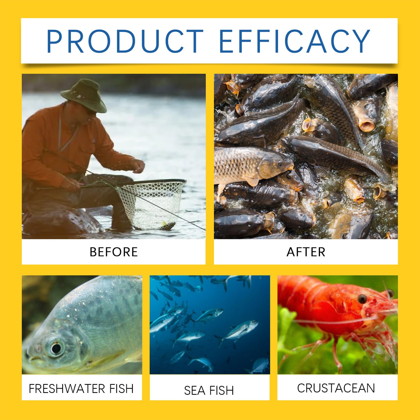 Fish Bait, Fish Feed, Nutritional Supplements, Fishing Bait, Wild Fishing Bait, Fish Lure, Fish Lure