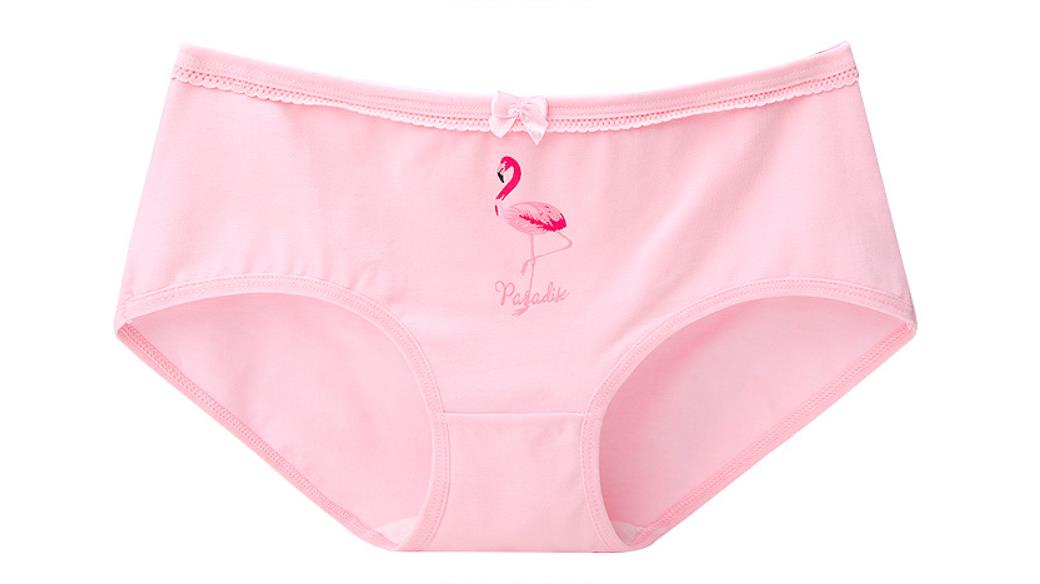 Cartoon cotton underwear - Zalixer