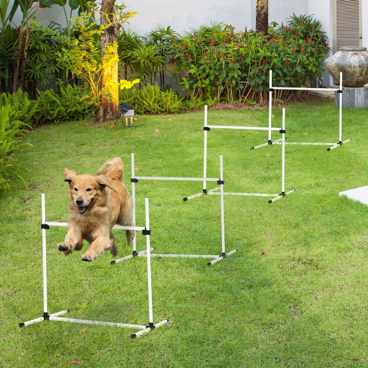 4 Piece Dog Agility Training Equipment for Dog Agility Course with Adjustable Height Jump Bars