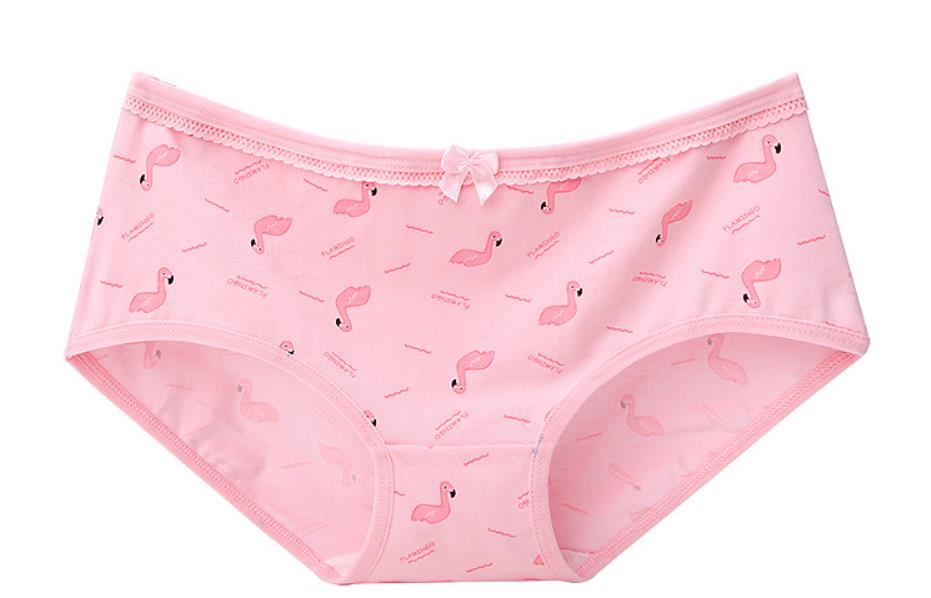 Cartoon cotton underwear - Zalixer