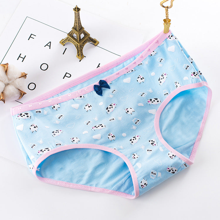 Mid-Waist Briefs Cotton Women's Panties - Zalixer