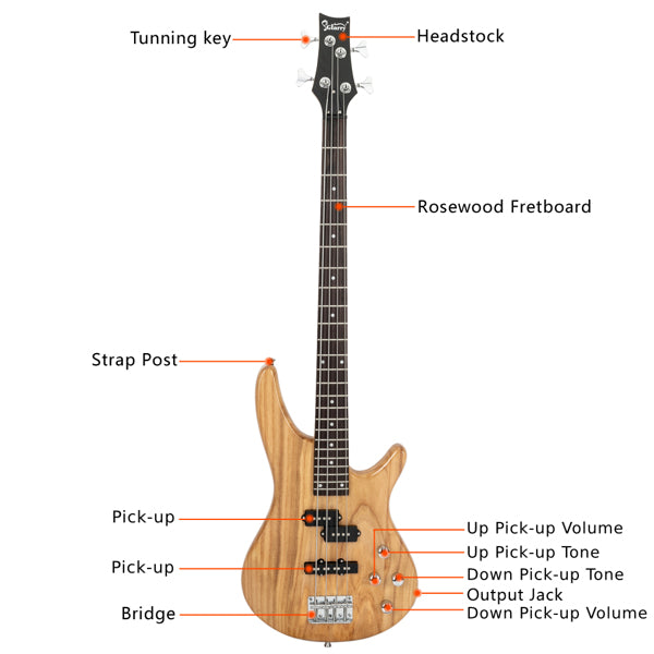 Four String Double Open Pickup IB Bass