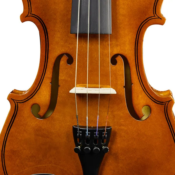 New 3/4 Acoustic Violin With Hard Case,Violin Bow,Shoulder Rest,Rosin,Extra Strings And Sourdine - Zalixer