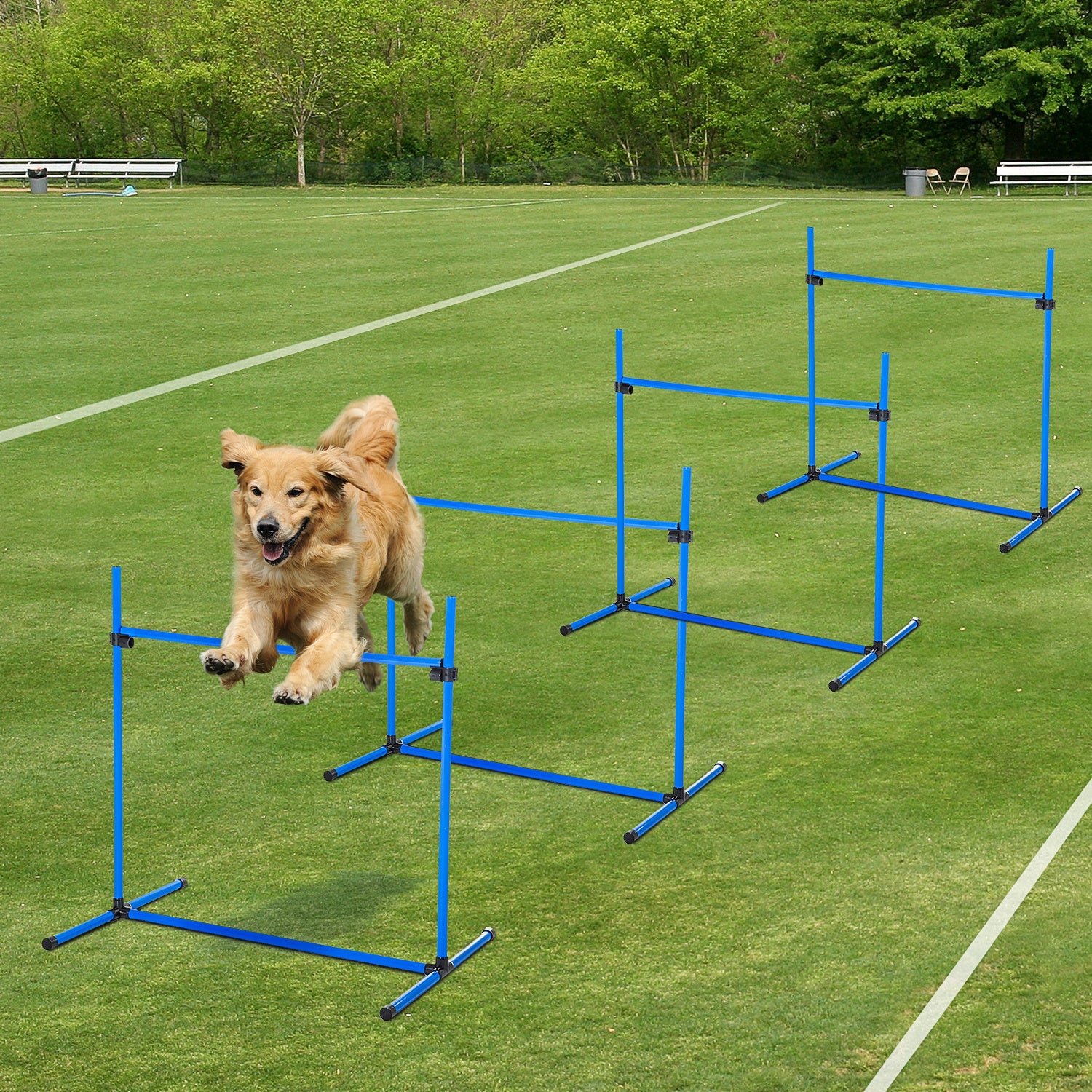 4 Piece Dog Agility Training Equipment for Dog Agility Course with Adjustable Height Jump Bars - Zalixer